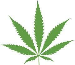 Cannabis Social Club Magyarorszag