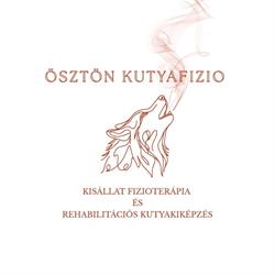 Ösztön Kutyafizio- Péceli kutya fizioterápia