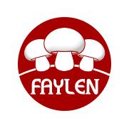 Faylen