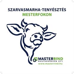 Masterrind Magyarország