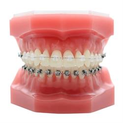 Orthosmile