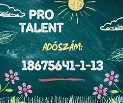 Pro Talent Alapítvány