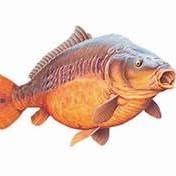 Fishingoutlet.hu