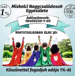 Miskolci Nagycsaládosok Egyesülete