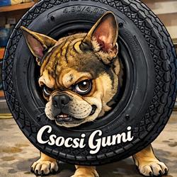 Csocsi gumi