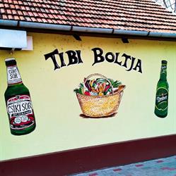 Tibi boltja