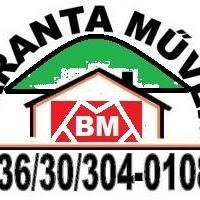 BARANTA Muvek