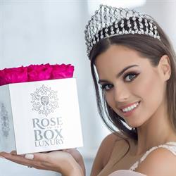 Rose In The Box Luxury