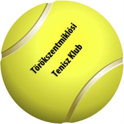 Törökszentmiklósi Tenisz Klub