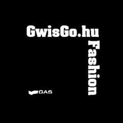 GwisGo
