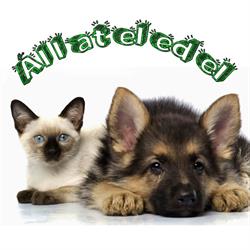 Állateledel