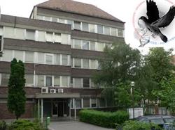 Department of Medical Biology - University of Szeged