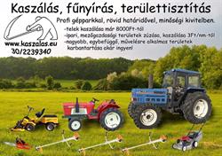 Kaszálás