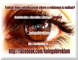 Kolegabireklám Koleszárné Gabriella