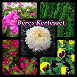 Béres Kertészet