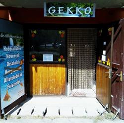 GEKKÓ