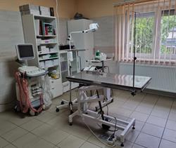 MáthéZoo Állatorvosi Rendelő