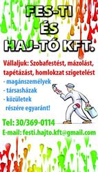 Festi és Hajtó Kft.