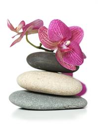 Balance Mozgásstúdió