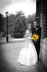 Wedding Dream