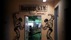 Harangi Gym Nyíradony