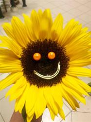 Virágbajnok