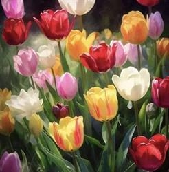 Tulipán virágüzlet