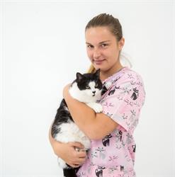 Dr. Nagy Anna - Állatorvos