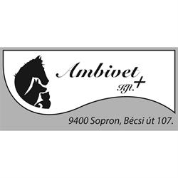 AmbiVet Állatorvosi rendelő - Tierklinik