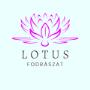 Lotus fodrászat