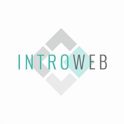 IntroWeb Kft.