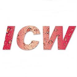 ICW autómosó Téglás