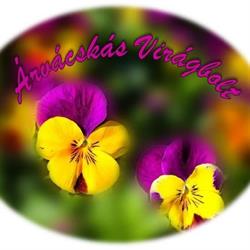 Árvácskás Virágbolt