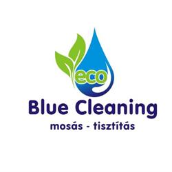 Blue Cleaning Mosoda