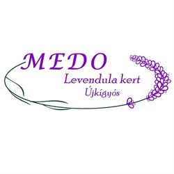 MEDO Levendula kert