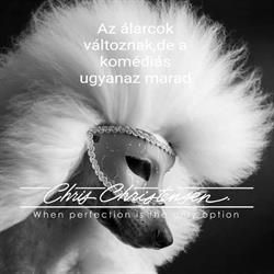 Dogdíva kutyakozmetika