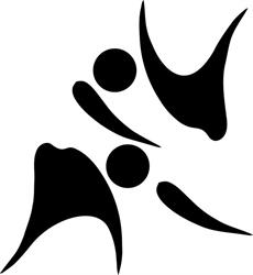 Aikido Csószen