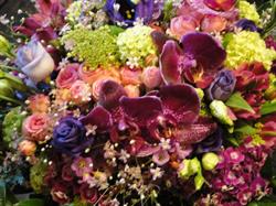 Plant & Flower Art Boutique