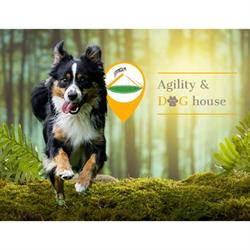 Agility&Dog House