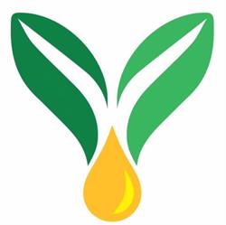 Ayurvédia - Ayurvéda tanfolyamok személyesen és online
