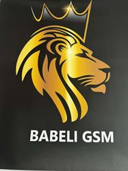 B.G. Phone GSM