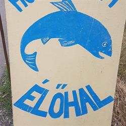Élőhal
