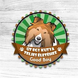 Good Boy - Kutyaiskola és Kutyapanzió Nyíregyháza