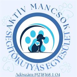 Aktív Mancsok Segítőkutyás Egyesület - Kutyasuli és kutyapanzió, napközi