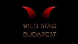 Wild Stag Budapest