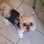 Lilike