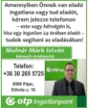 🔍 Eladó lakás, telek, üzlethelyiség vagy ház Pápán és környékén 
