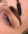 Pixy Brow