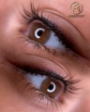 Soft liner