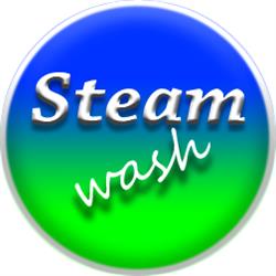 Steam Wash autókozmetika